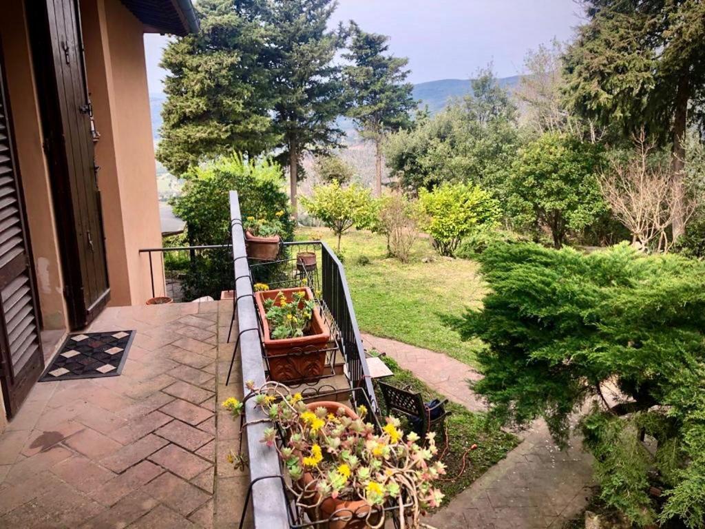 La Villa Del Borgo Massa Marittima Esterno foto